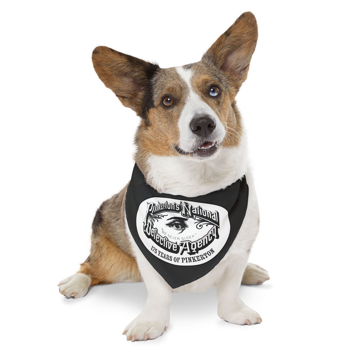 Adjustable Dog Bandana