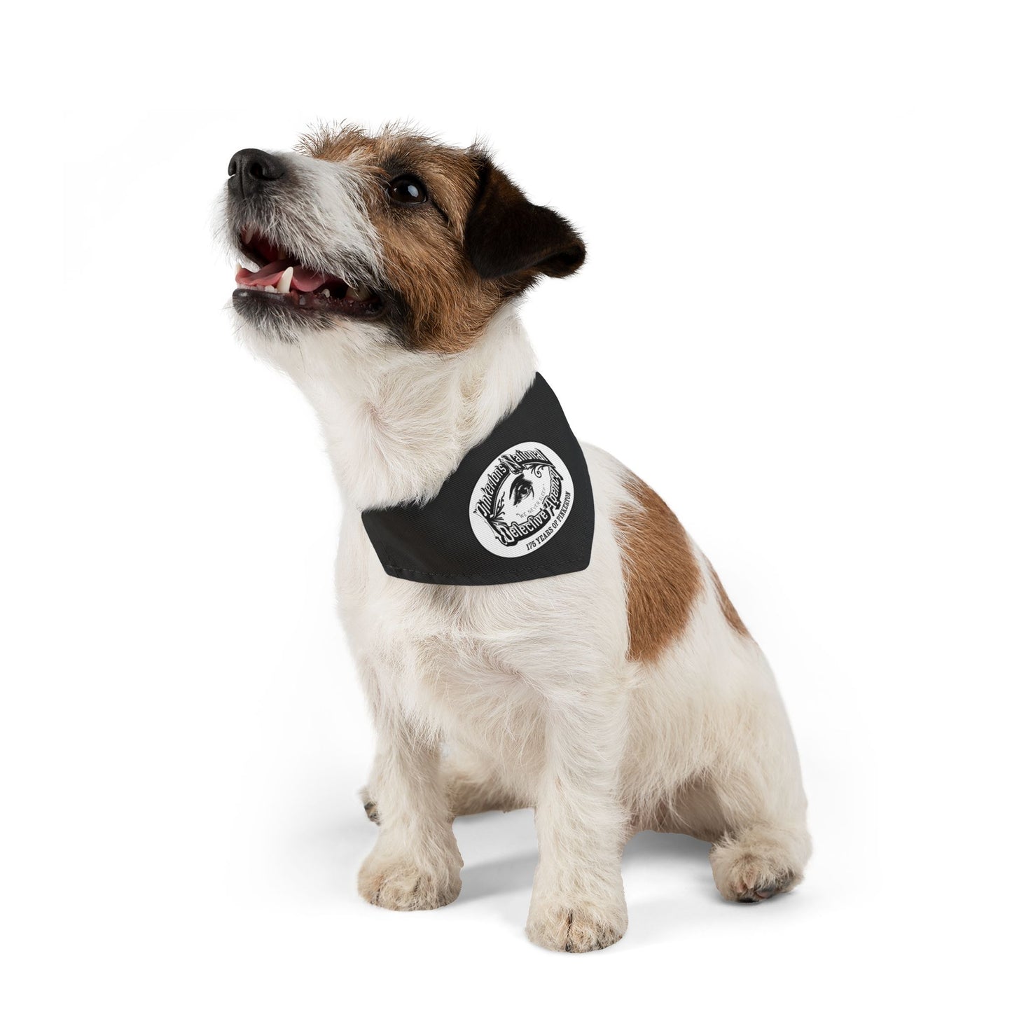 Adjustable Dog Bandana